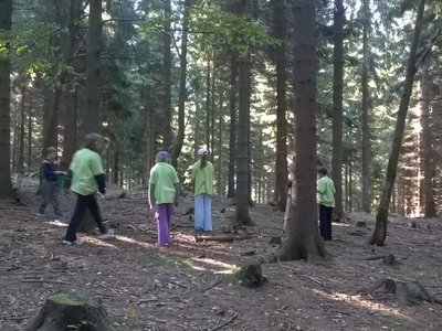 Obrázek 75262 