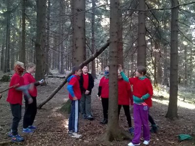 Obrázek 75263 
