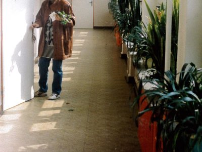 Obrázek 74975 