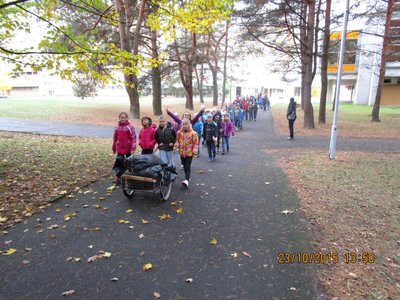 Obrázek 74292 