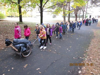 Obrázek 74293 