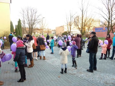 Obrázek 73782 