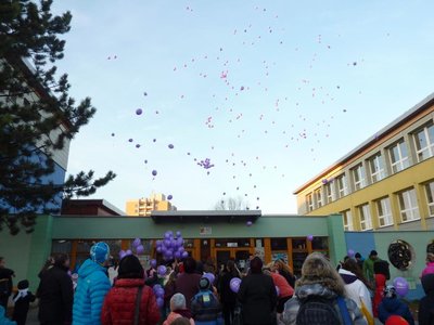 Obrázek 73791 