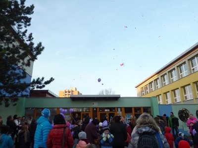 Obrázek 73794 