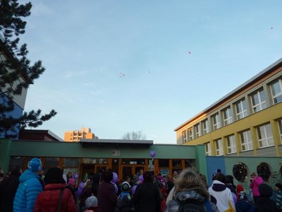 Obrázek 73796 