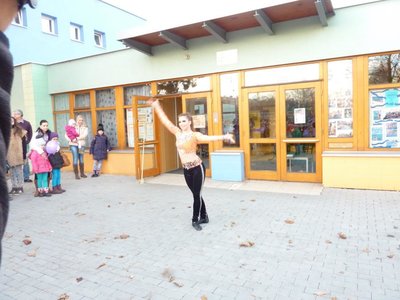 Obrázek 73806 