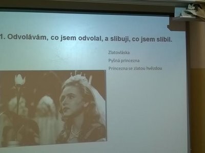 Obrázek 73119 