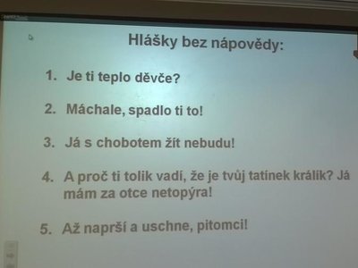 Obrázek 73121 