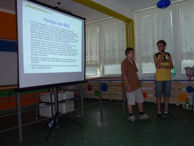 Obrázek 117518 