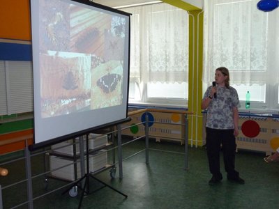 Obrázek 117535 