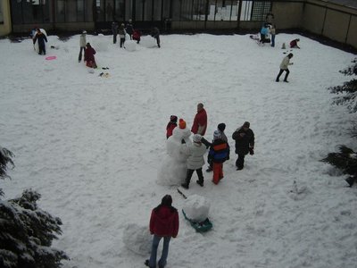 Miss sněhulák 2005