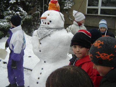 Obrázek 121749 