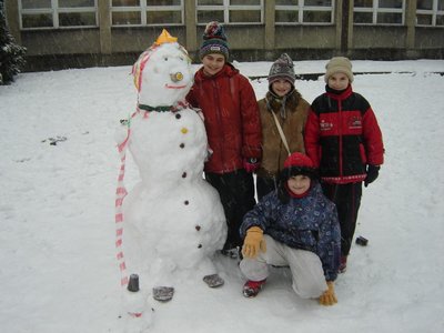 Obrázek 121744 