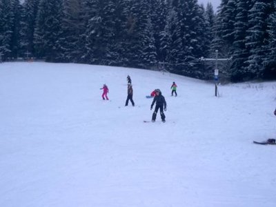 Obrázek 72835 