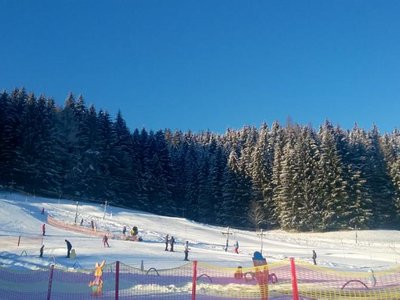 Obrázek 72837 