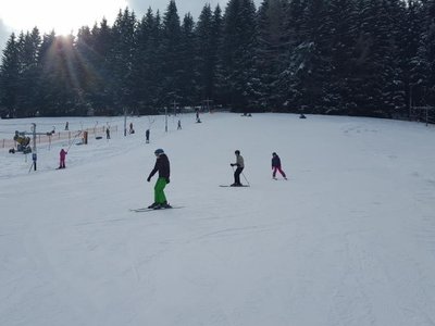 Obrázek 72798 