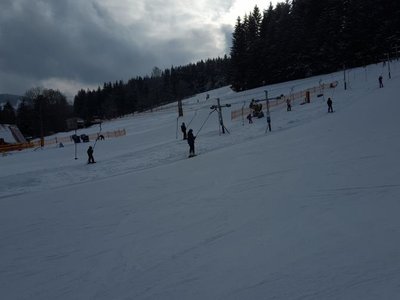 Obrázek 72803 
