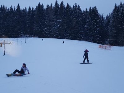 Obrázek 72791 