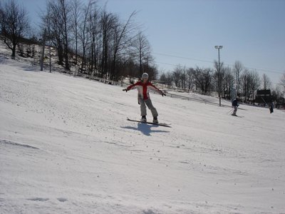 Obrázek 121712 