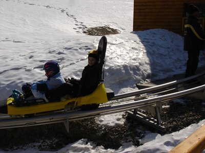 Obrázek 121724 