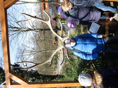 Obrázek 70641 