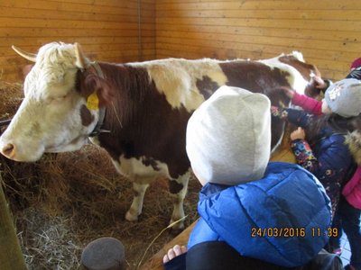 Obrázek 70654 