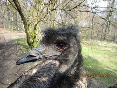 Obrázek 70666 