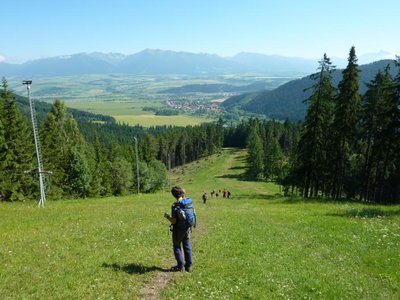 Obrázek 117456 