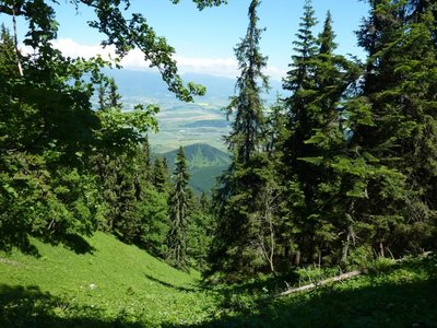Obrázek 117473 