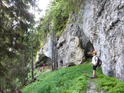 Obrázek 117507 