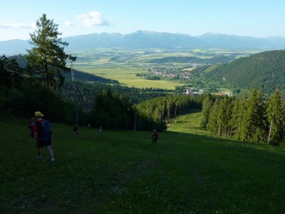 Obrázek 117511 