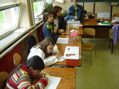 Obrázek 121629 