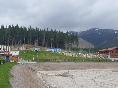Obrázek 69065 