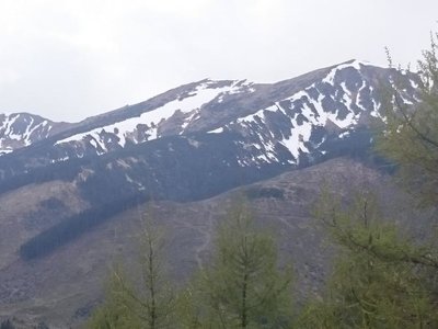 Obrázek 69086 