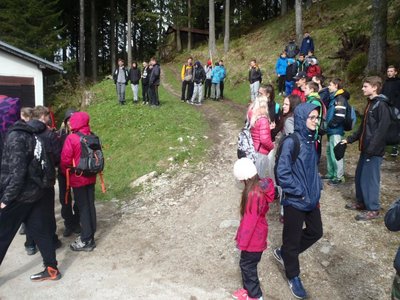 Obrázek 68801 