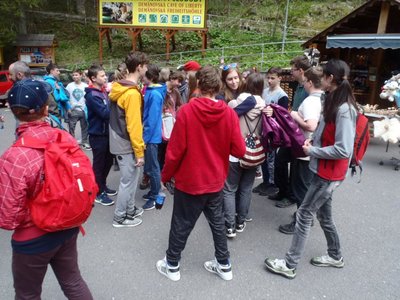 Obrázek 68844 