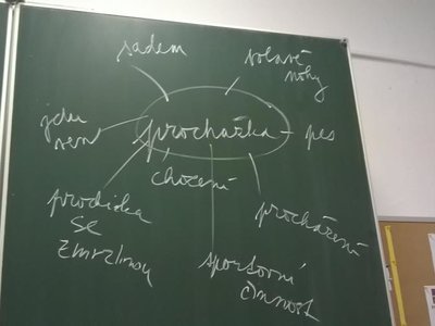 Obrázek 68451 