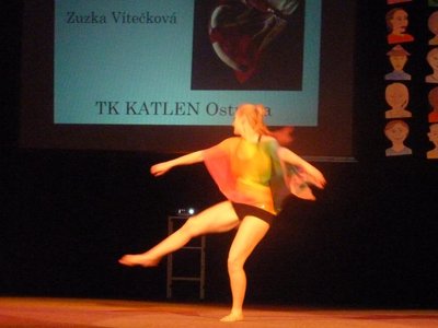 Obrázek 68238 