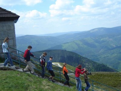 Obrázek 121564 