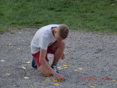 Obrázek 67442 