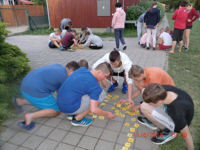 Obrázek 67446 