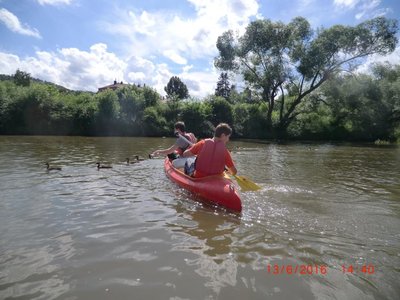 Obrázek 67478 
