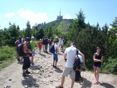 Obrázek 67308 