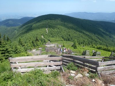 Obrázek 67321 