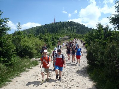 Obrázek 67334 