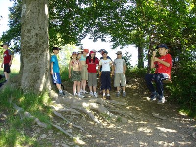 Obrázek 121537 