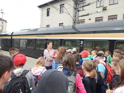 Obrázek 67135 