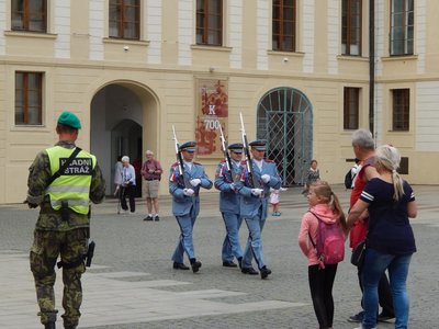 Obrázek 67195 