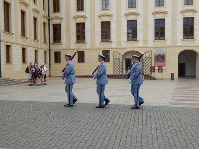 Obrázek 67196 