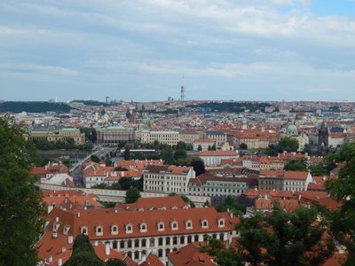 Obrázek 67209 